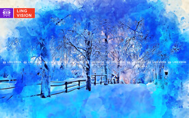雪中美景