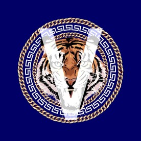 金链虎头