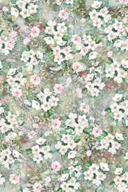 小清新花朵