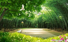 竹林