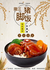 隆江猪脚饭