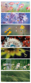 节气 大暑