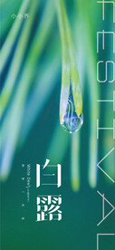 白露