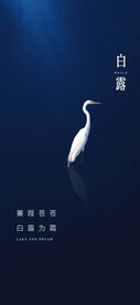 白露节气海报