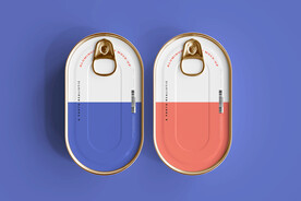 多视角铝制鱼罐头盒模型