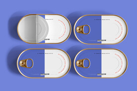 多视角铝制鱼罐头盒模型