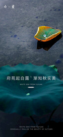白露