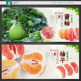 柚子