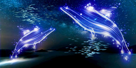 晶瓷画 抽象画 蓝色鲸鱼