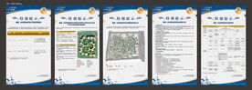 金牌宣言