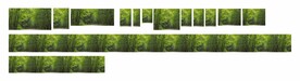 绿植围挡