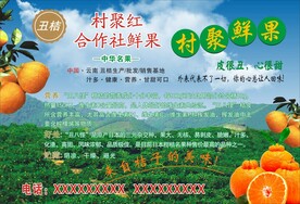 村聚红蜜桔