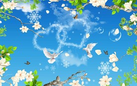 玉兰花