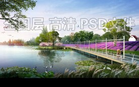 薰衣草湿地