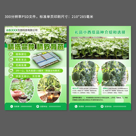 西瓜苗宣传单页设计