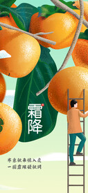 霜降贴片