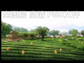茶田
