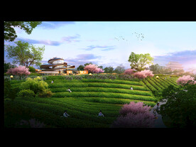 山坡茶田