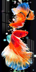 时尚轻奢孔雀鱼玄关装饰画