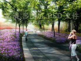 二月兰花海