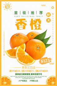 香橙 橙子