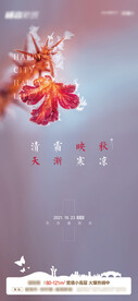 节气霜降降温海报