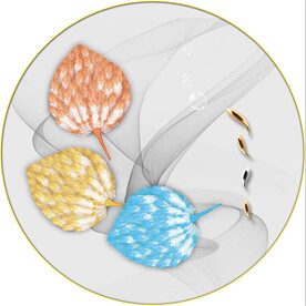 晶瓷画 羽毛 鱼