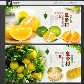 皇帝柑