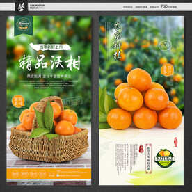 沃柑