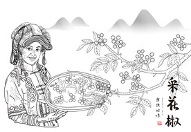 采摘花椒