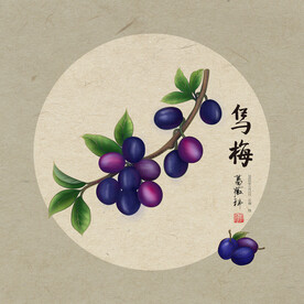 乌梅