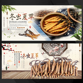 冬虫夏草