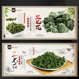 三七花