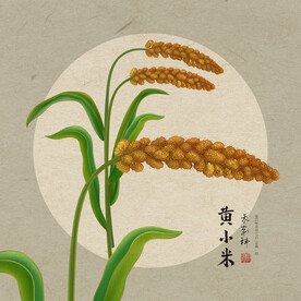 手绘小米