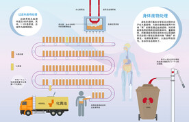 身体器官消化系统废物处理科技馆