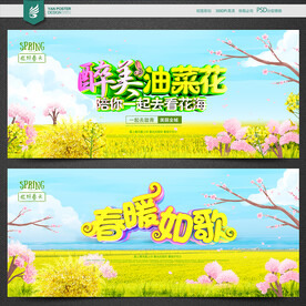 油菜花
