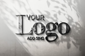 logo样机效果图