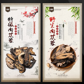 肉苁蓉