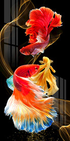 斗鱼孔雀鱼时尚玄关背景墙