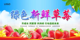 新鲜草莓