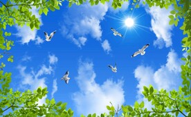 蓝天白云绿叶鸽子