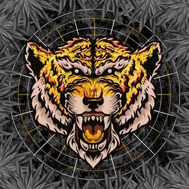 金色老虎头像现代天顶装饰画