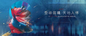 地产提报图片