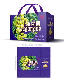 油甘果设计 