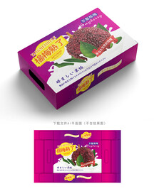 杨梅包装 