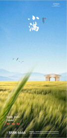 麦田小满节气海报
