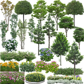 植物素材