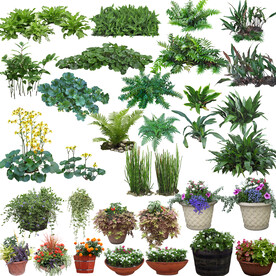 植物素材