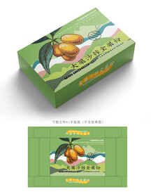 沙棘果粉包装