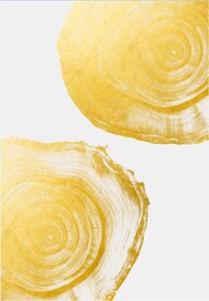 装饰画 树轮